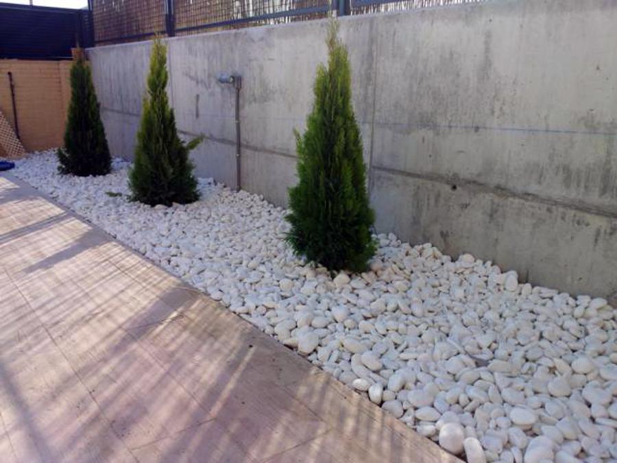 Realización de Jardines