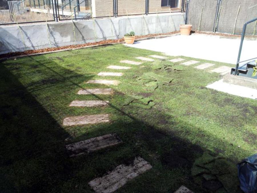 Realizacion de Jardines