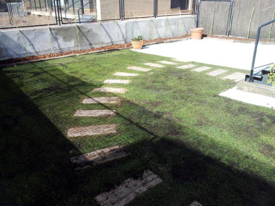 Realización de jardines