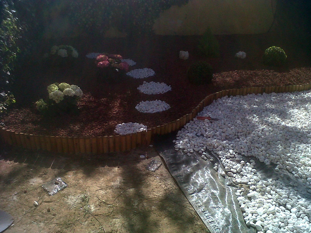 REALIZACION DE PALTERRE 