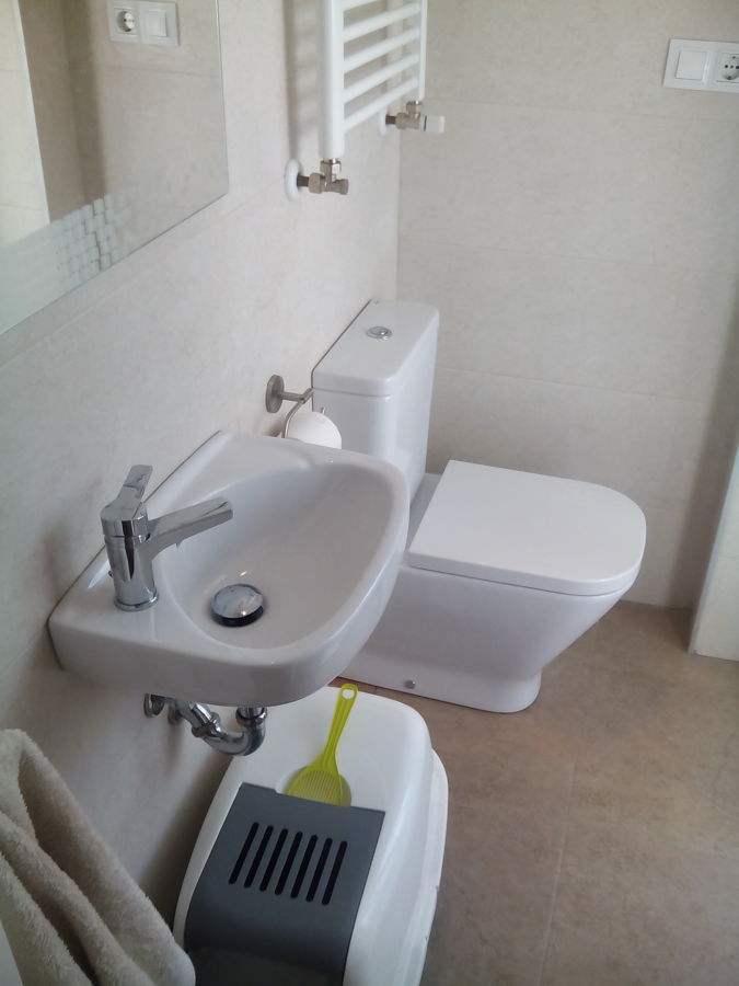 Realización de Reforma de Aseo, calle Bergamín