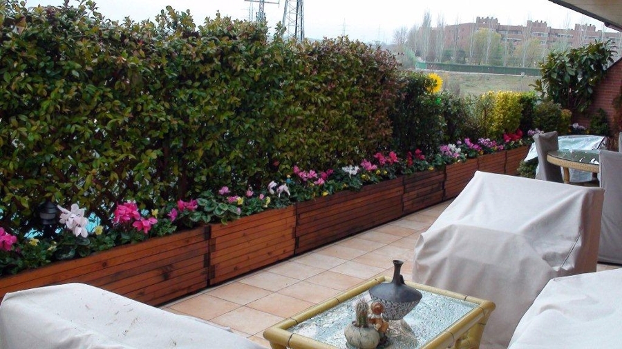 Realización de toda la jardinería