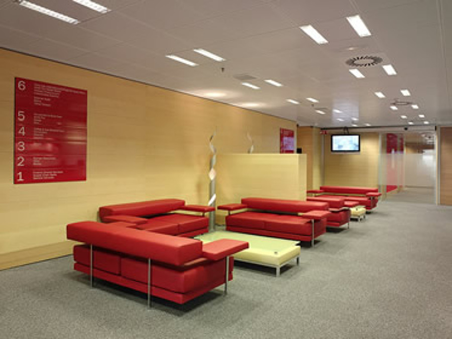 Recepción de planta