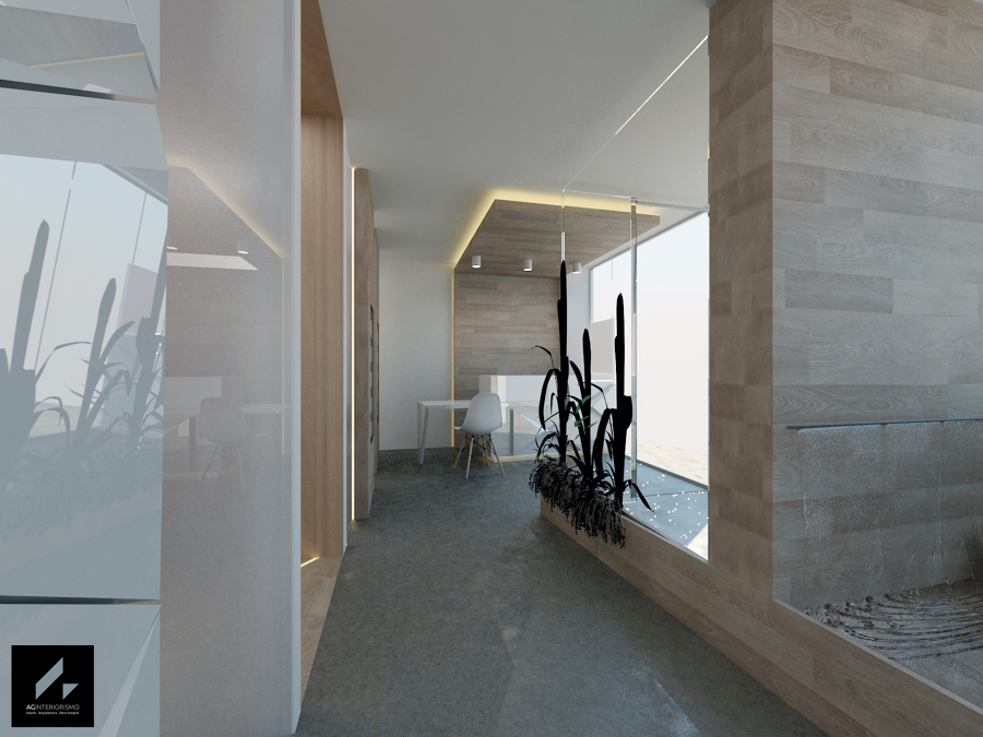 Recepción y entrada