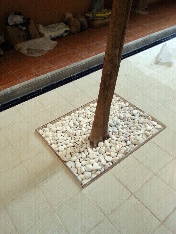 Reconversión de jardín