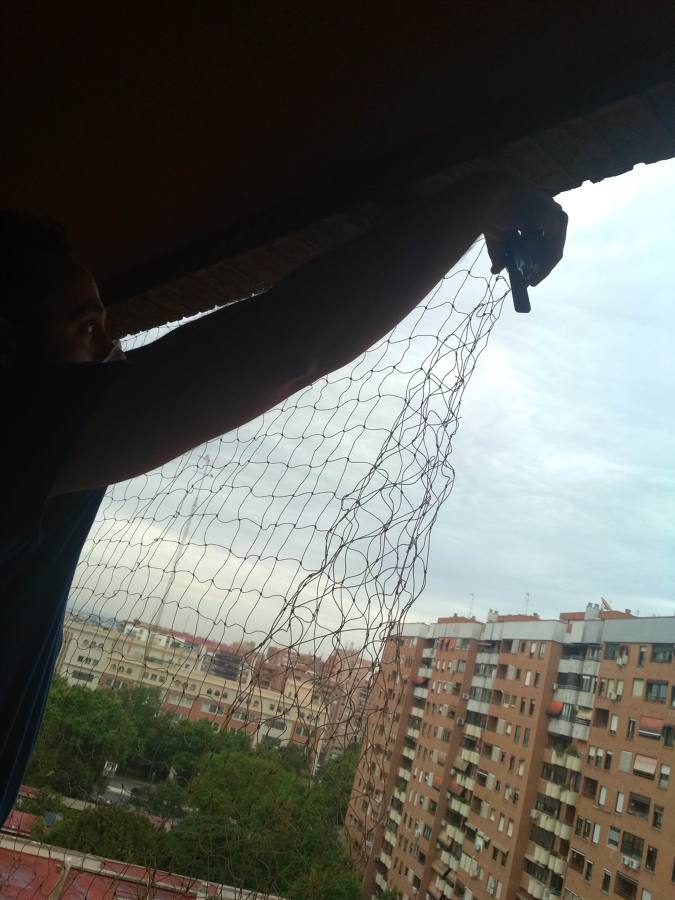 Redes palomas zona aragón Valencia