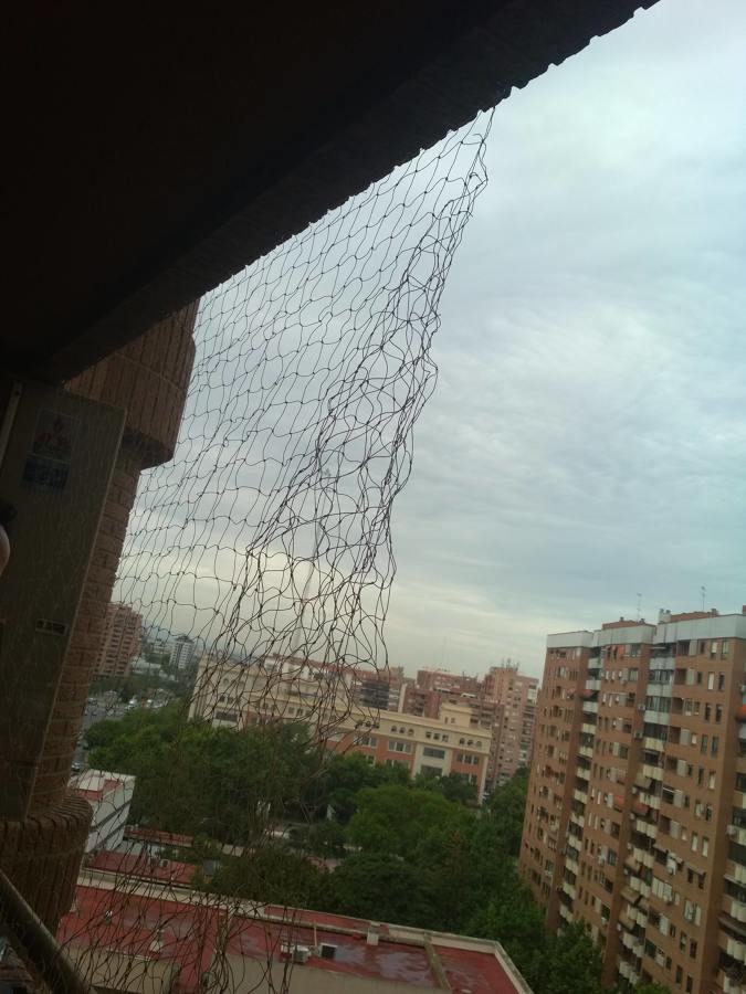 Redes palomas zona aragón Valencia