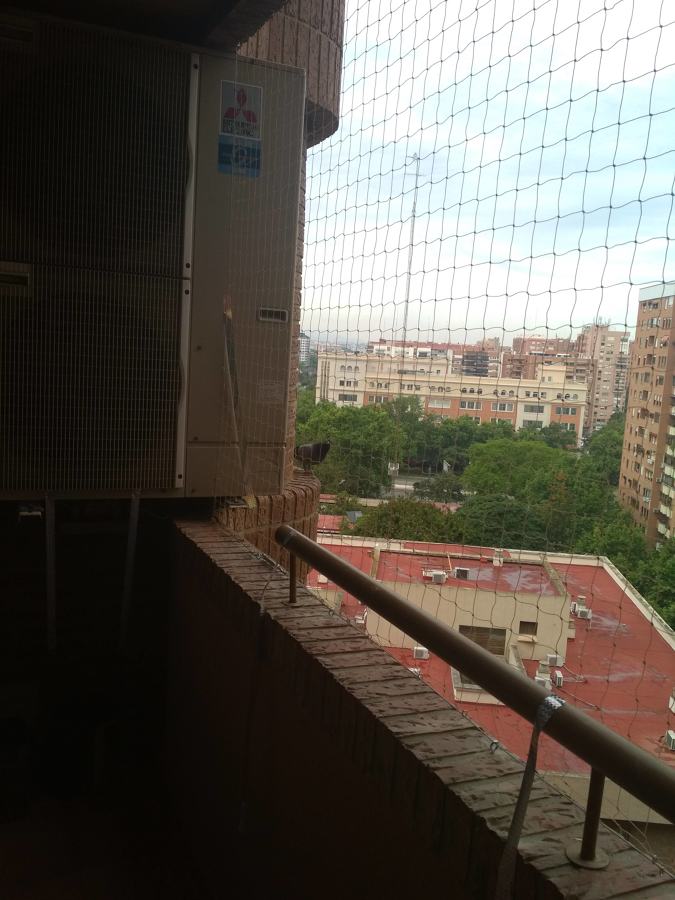 Redes palomas zona aragón Valencia