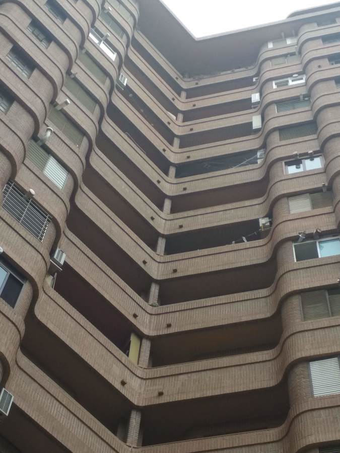 Redes palomas zona aragón Valencia