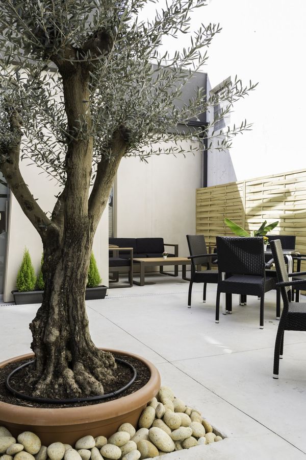 REFORMA BRINGANTIUM LOUNGE EN SANTA CRISTINA (OLEIROS)