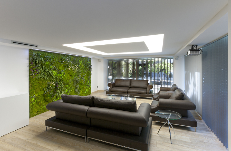 Reforma de oficinas - Telas tensadas - Iluminación personalizada