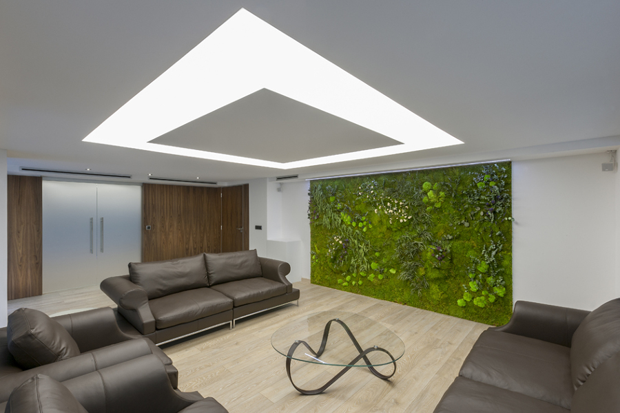 Reforma de oficinas - Telas tensadas - Iluminación personalizada