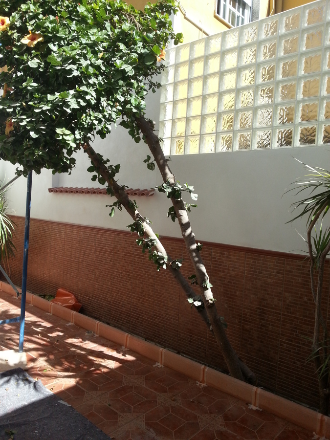 Reforma de patio interior