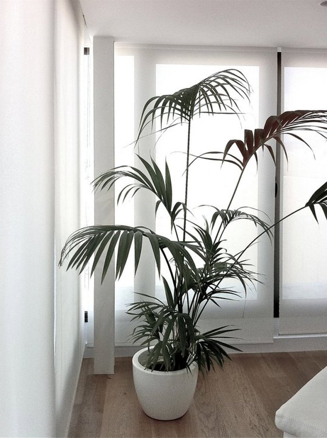 Reforma integral de ático en Las Canteras