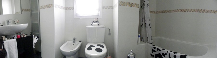 reforma integral de baño