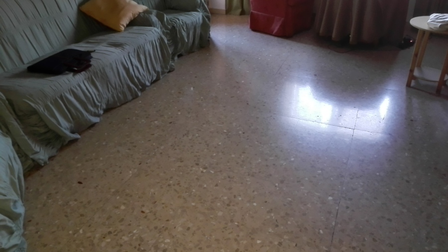 Reforma integral. Salón.