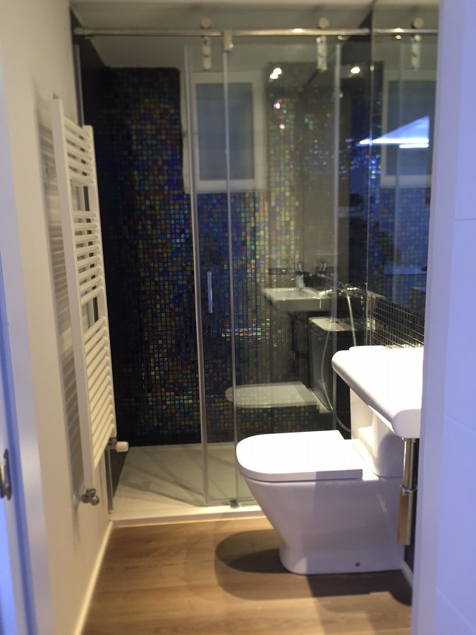 Reforma paseo mallorca (baño)