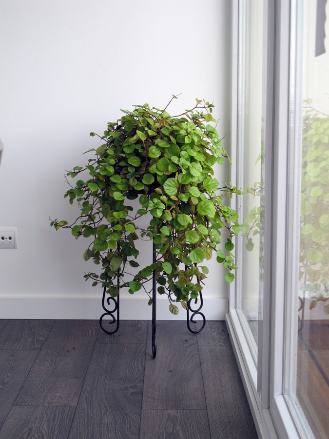 Reforma Vivienda Chamberi (Madrid)