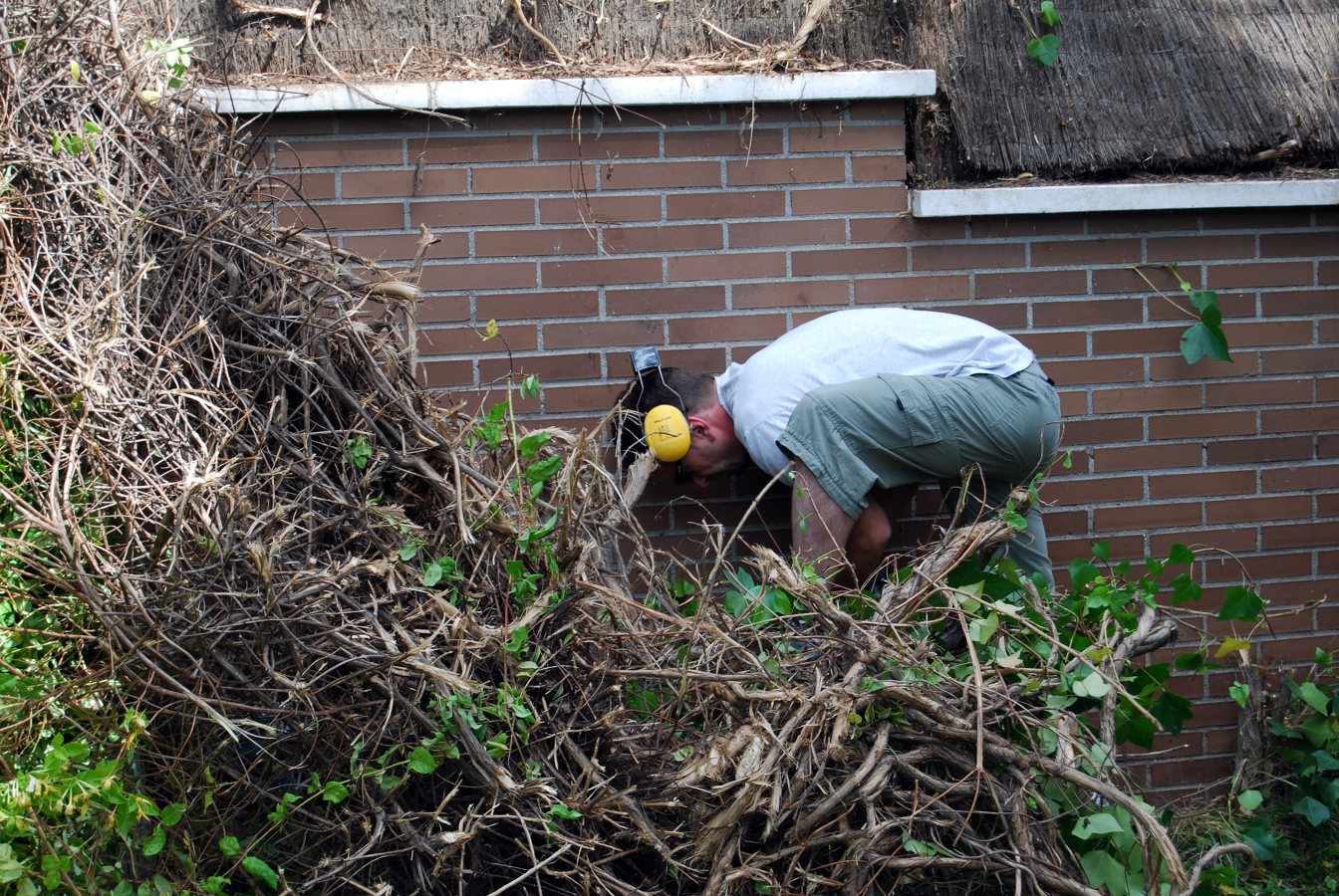 reforma y cerramiente de jardin