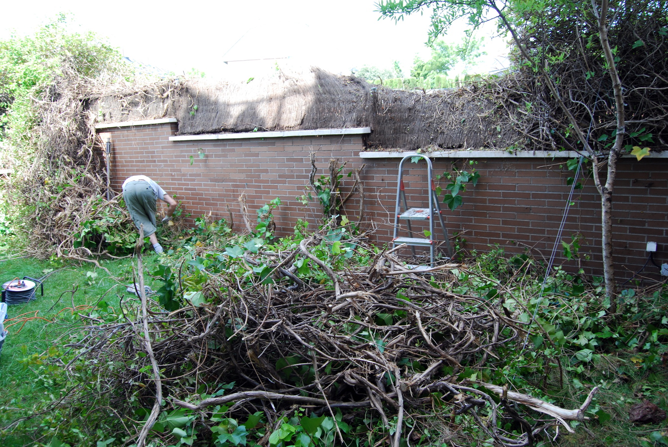 reforma y cerramiente de jardin