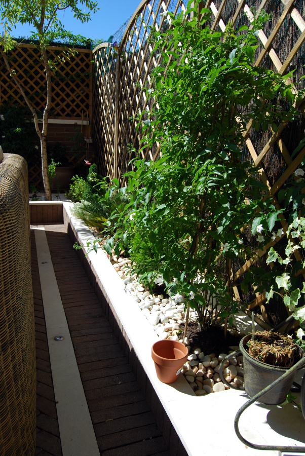 reforma y cerramiente de jardin