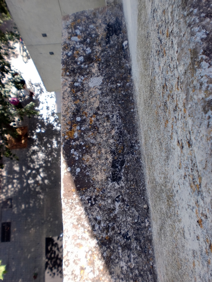 REFORMA Y RESTAURACION DE FACHADA