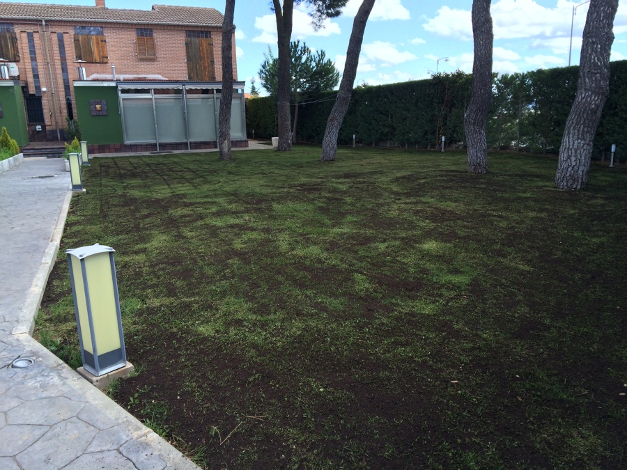 Regenerado de césped en Valladolid