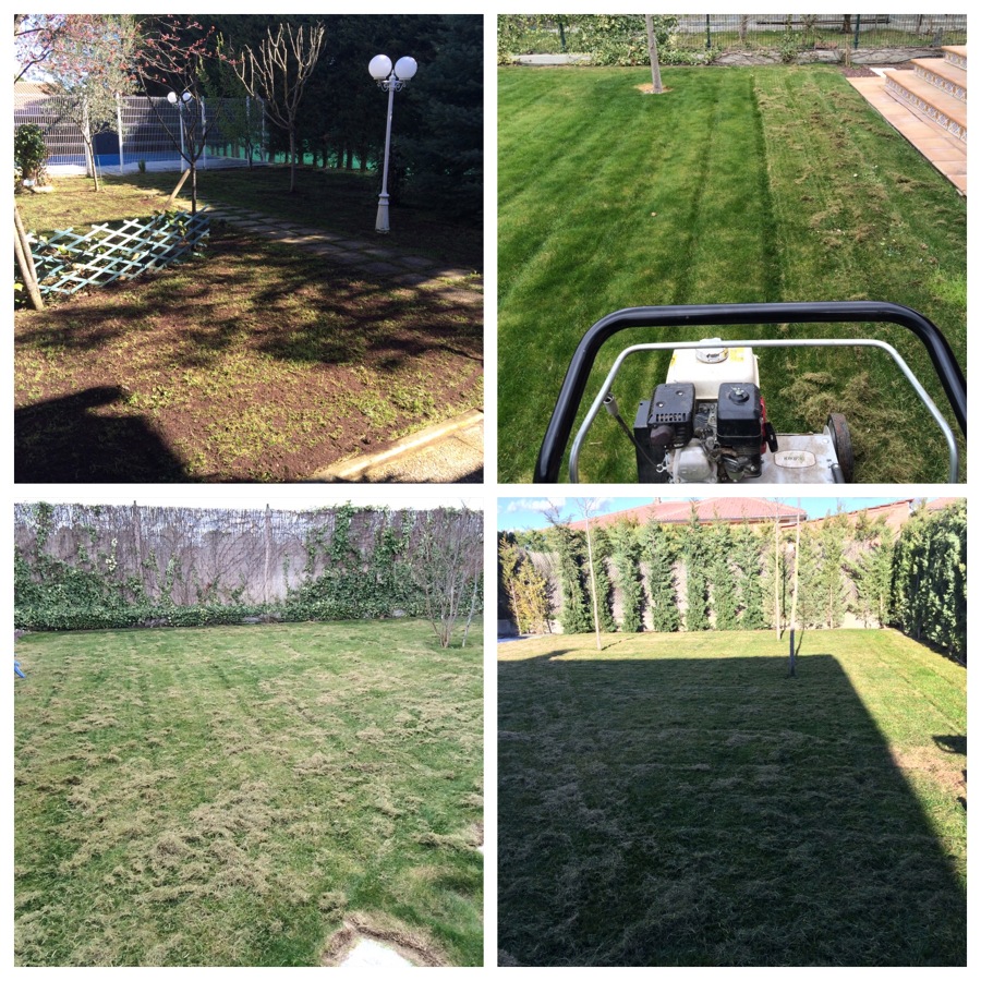Regenerado de césped en Valladolid