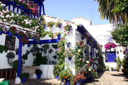 Rehabilitación de Casa Patio (I)