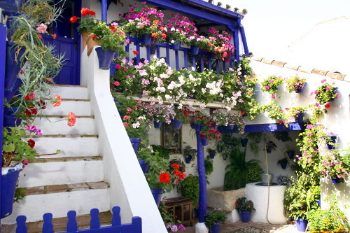 Rehabilitación de Casa Patio (II)