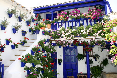 Rehabilitación de Casa Patio (III)