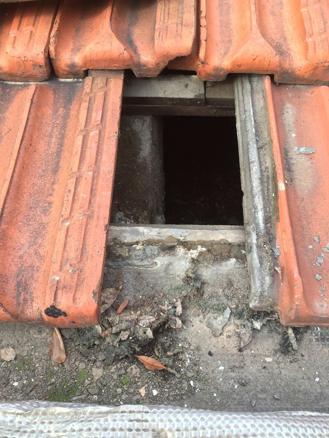 REHABILITACION DE FACHADA EN CALLE ALCALA 141 ( MADRID)