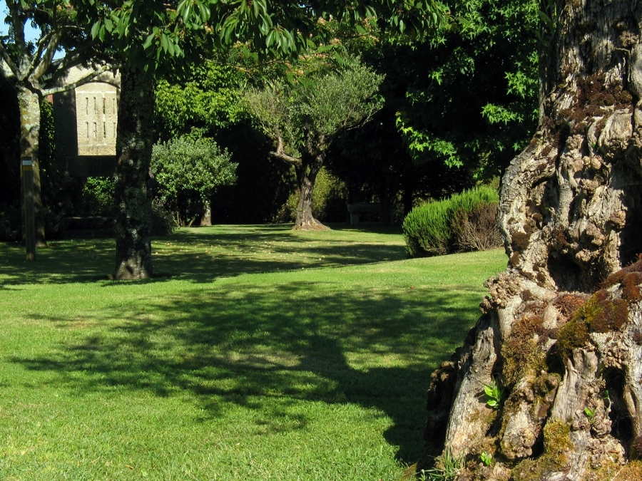 Rehabilitación de vivienda