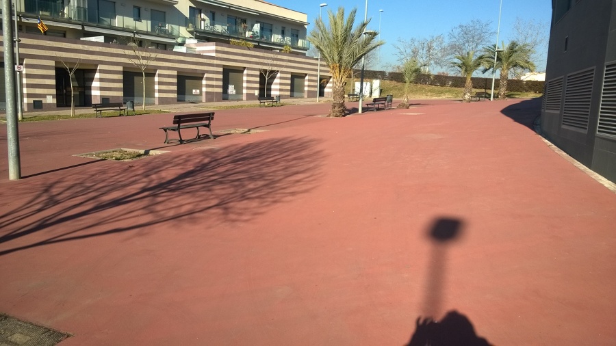 Rehabilitación paseo.