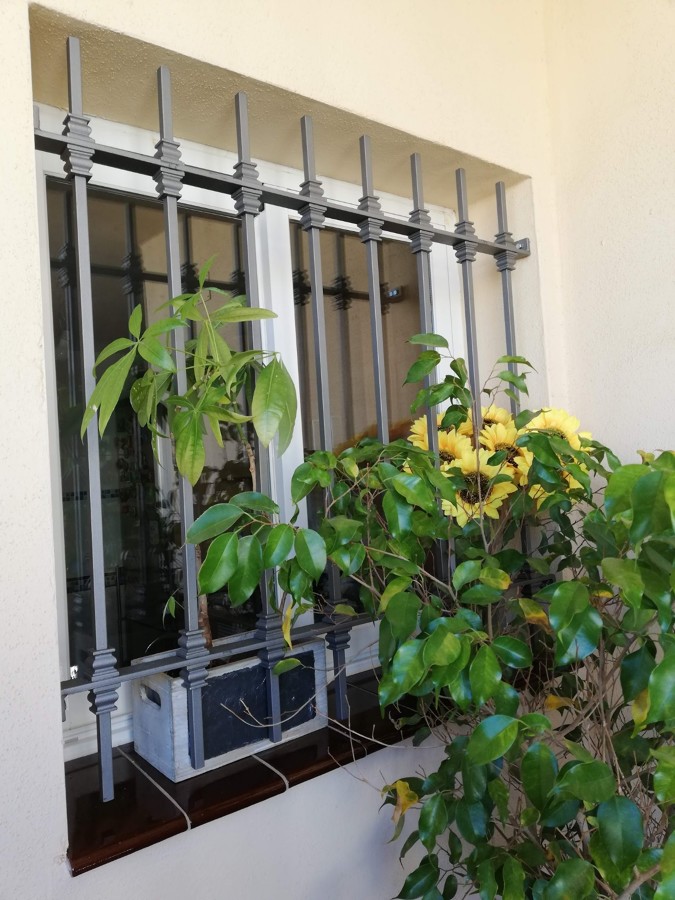 Reja con macollas decorativas, pintada en color acero.