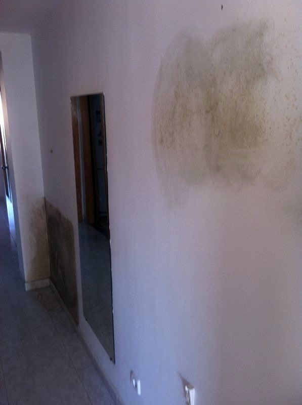 REPACION DE HUMEDADES Y DECORACION