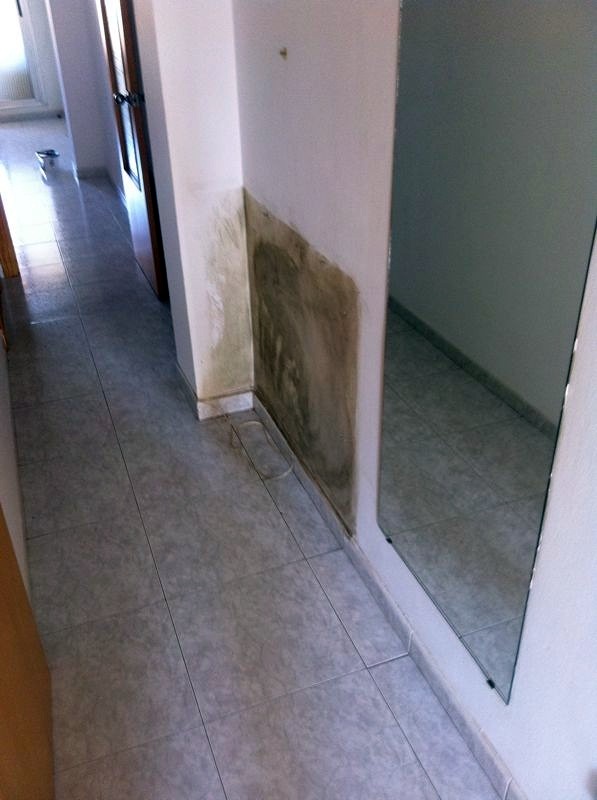 REPACION DE HUMEDADES Y DECORACION