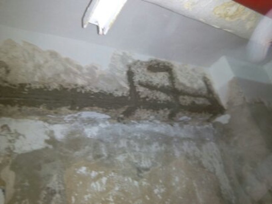 REPARACION DE JACENA