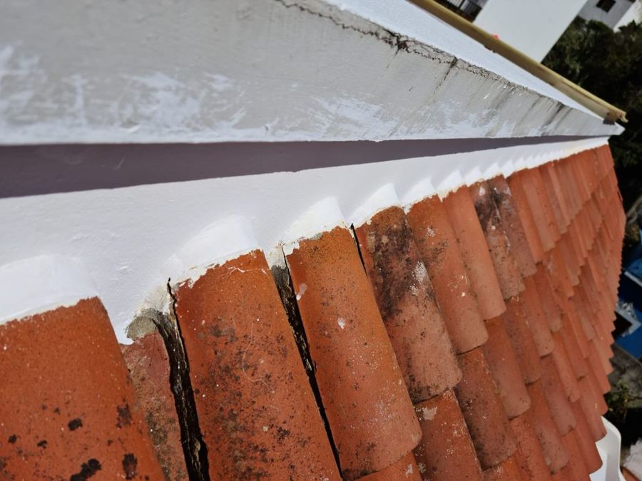 Reparación e impermeabilización de tejas exterior