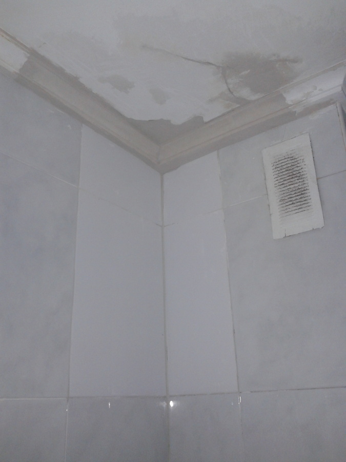 Reparaciones en escayola