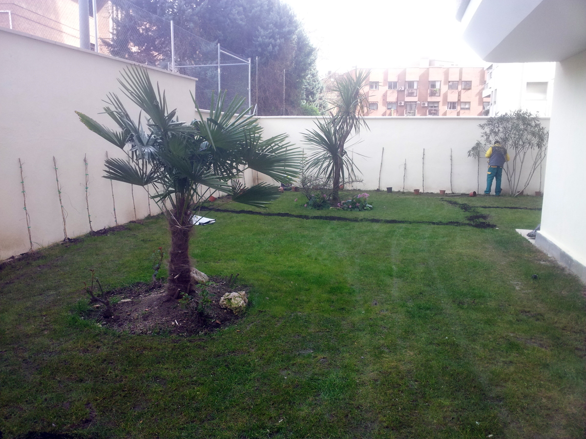 Resiembra de jardin en comunidad