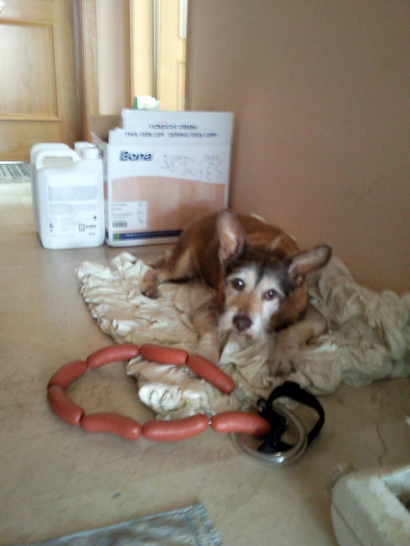 AY, SI ESTAS SALCHICHAS FUESEN DE VERDAD....