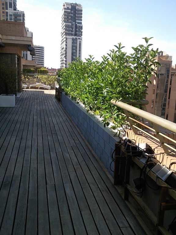 RESTAURACIÓN TARIMA EXTERIOR IPE