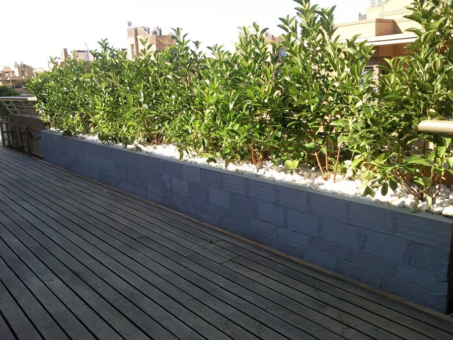 RESTAURACIÓN TARIMA EXTERIOR IPE