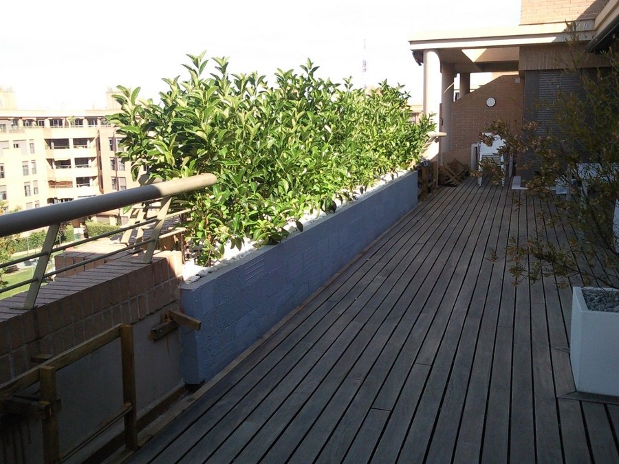 RESTAURACIÓN TARIMA EXTERIOR IPE