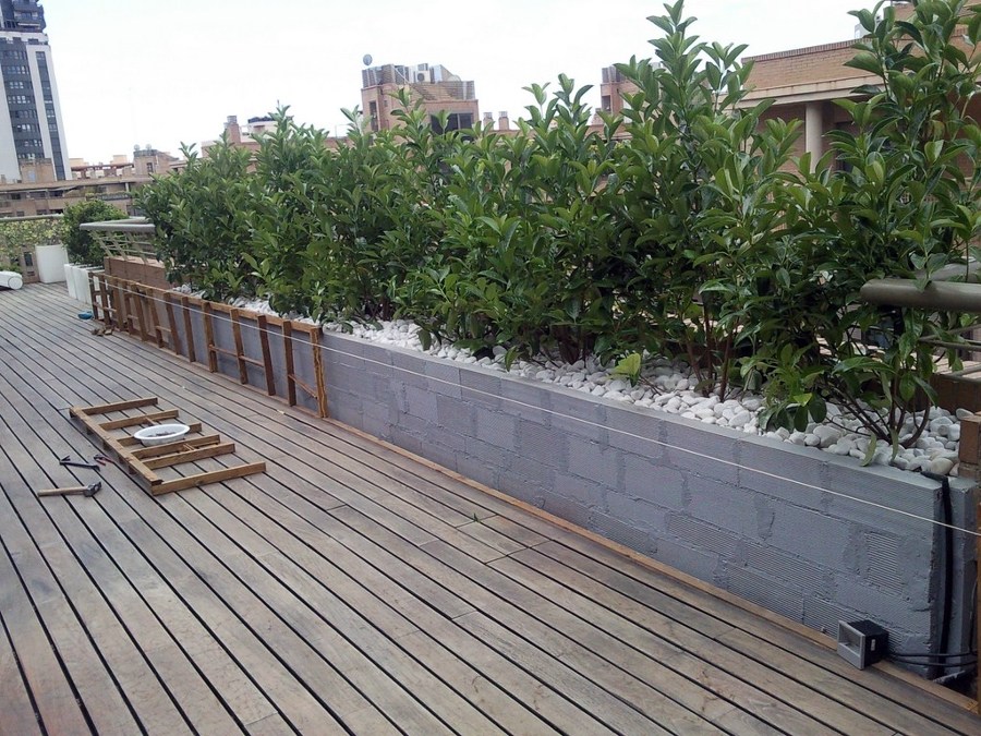 RESTAURACIÓN TARIMA EXTERIOR IPE