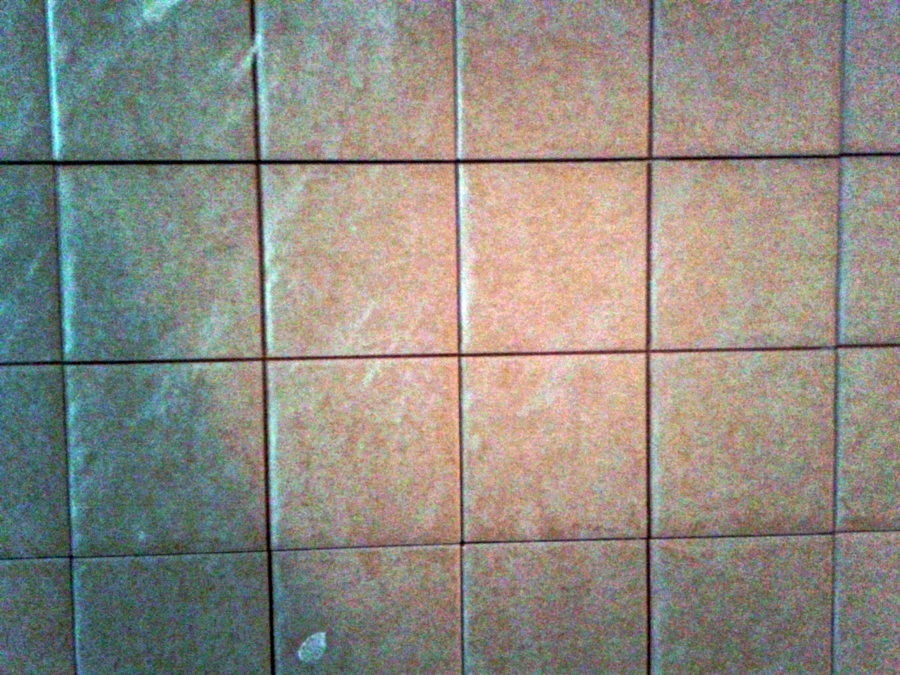 Restaurante El Bierzo Sant Quirze del Valles 12