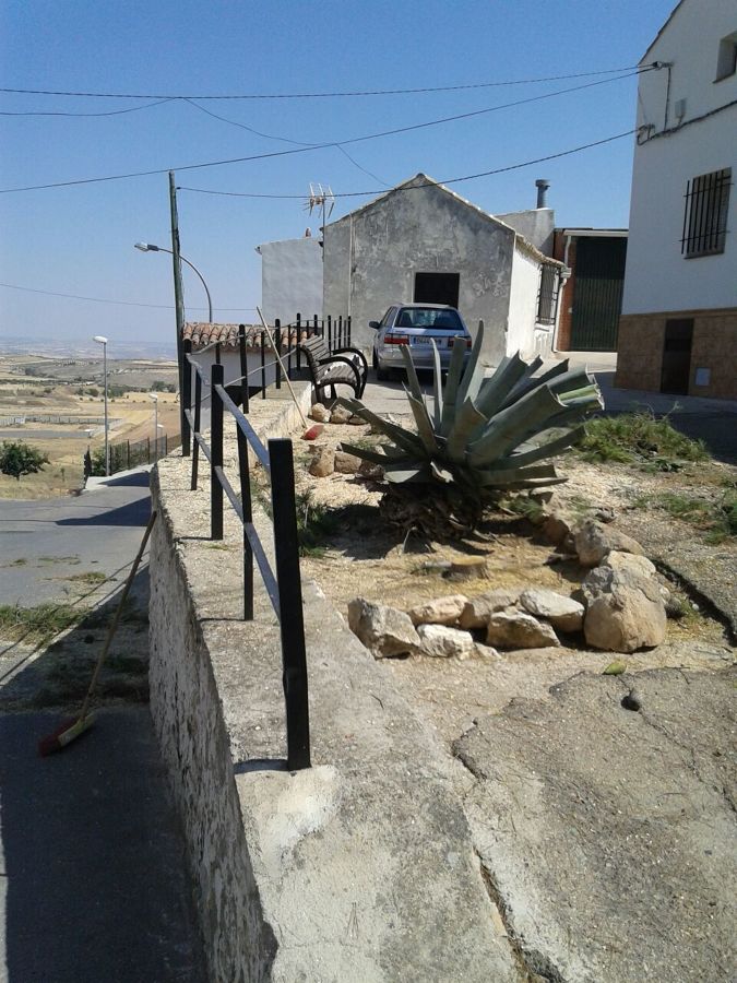 Resultado final después de haber eliminado el pino causante de la grieta del muro