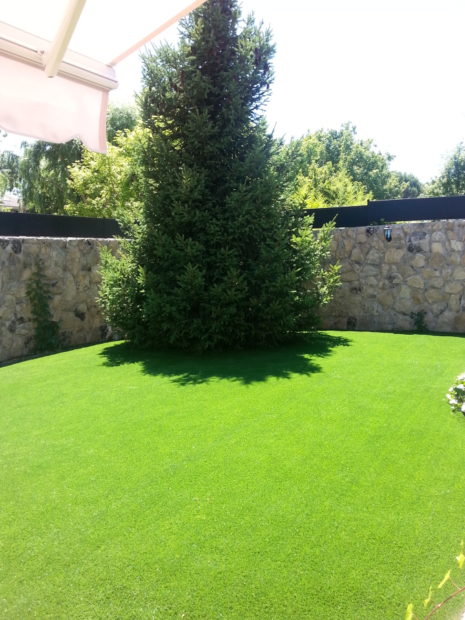 Resultado final espectacular en 24 horas