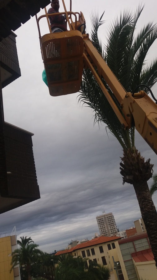 Retirada de baldosas